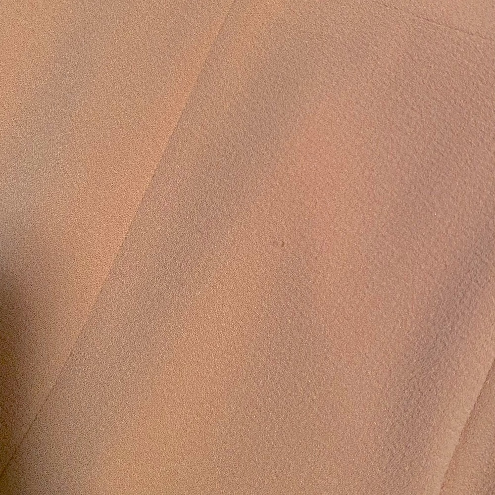 Dress the Population Sandra V Neck Gown: Blush - Picture 9 of 9